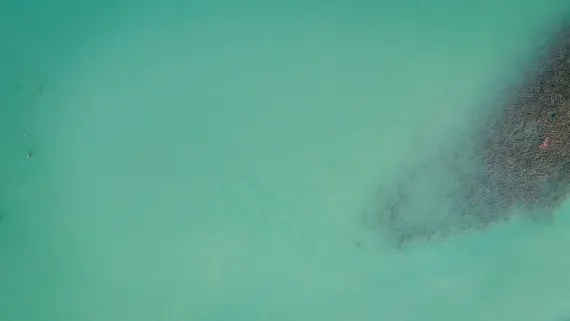 Casino Lucky Luke Ënnerstëtzung